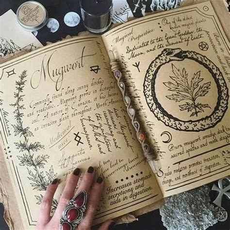 The Power of Tarot: How to Use the Cards to Enhance Your Practical Magic on Tumblr